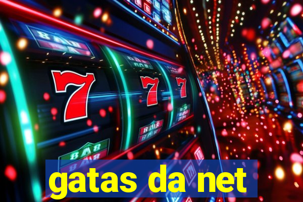 gatas da net